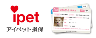 アイペット損保