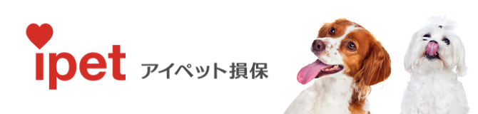 アイペット損保